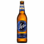 Argo Lager Bier 0,5 l (4,8 % vol.)