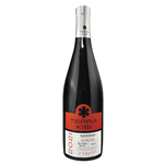 Saperavi Qvevri 2021 Rotwein Trocken (0,75l) — Georgischer Wein von Terrakisi, Rebsorte Saperavi